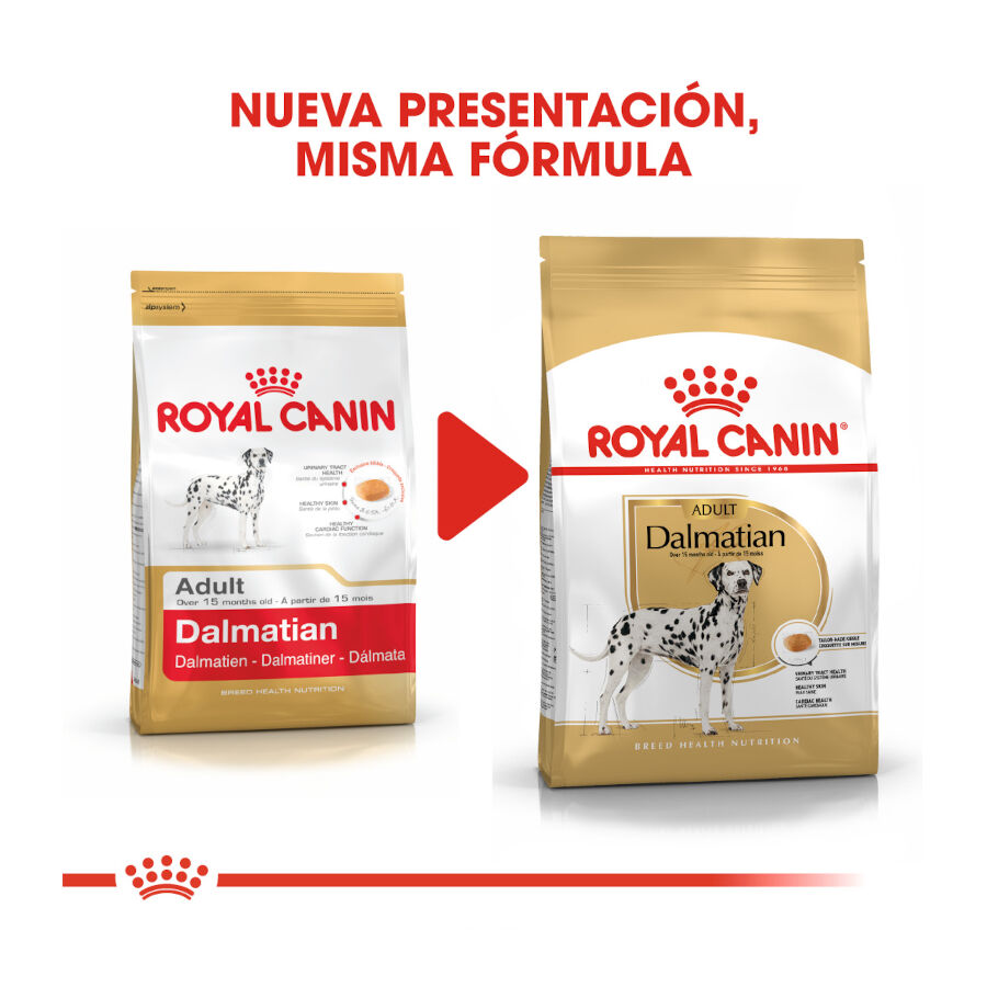12 kg Royal Canin Adult D&aacute;lmata ra&ccedil;&atilde;o para c&atilde;es, , large Imagem n&uacute;mero 3