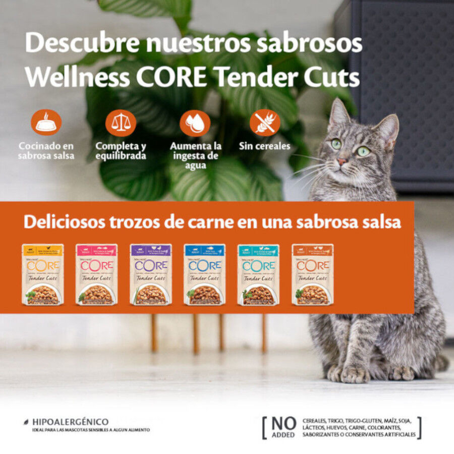  85 g Wellness Core Tender Cuts salm&atilde;o e atum em molho saquetas para gatos, , large Imagem n&uacute;mero 3