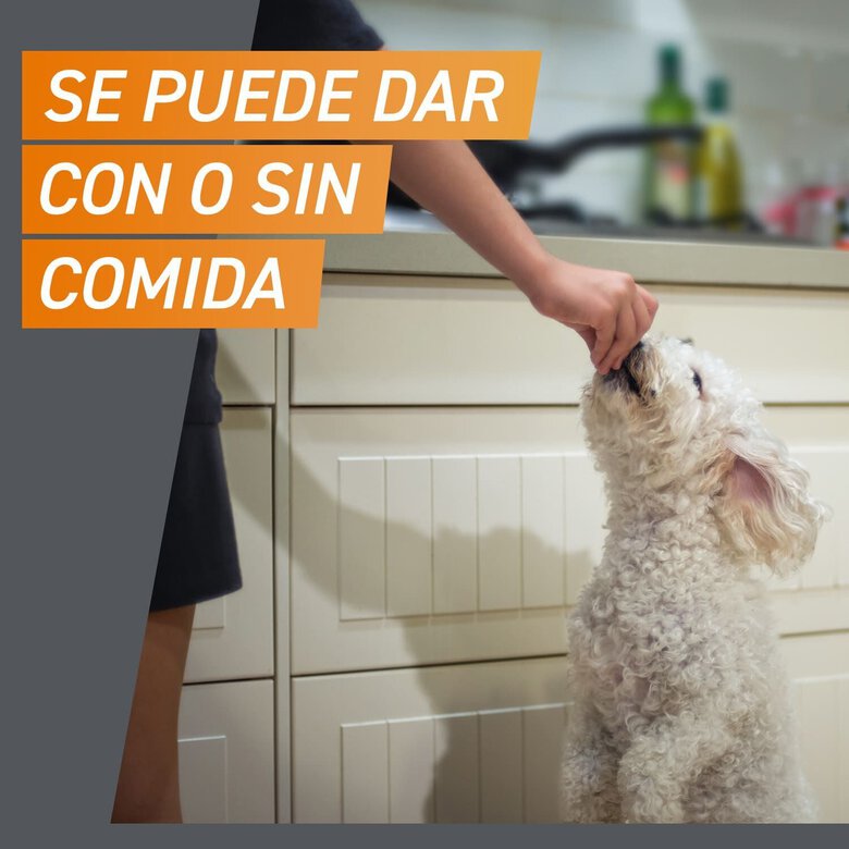 Frontpro Comprimidos Mastigáveis Antiparasitários para cães,  Imagem número 6 Frontpro Comprimidos Mastigáveis Antiparasitários para cães, , large Imagem número 6