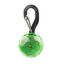 Nite Ize Petlit Lime Jewel Luz LED Verde com mosquetão para coleira para cães, , large Indicador imagem número 1