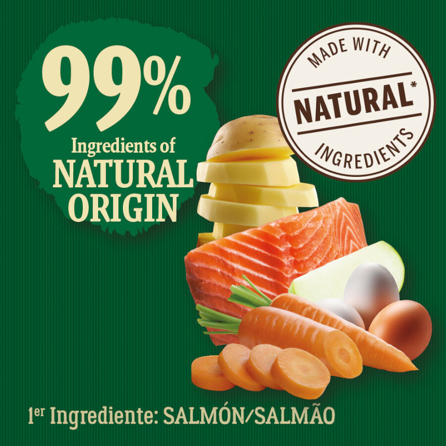 6 kg True Origins Wild Adult Pacific Salm&atilde;o ra&ccedil;&atilde;o para gatos, , large Imagem n&uacute;mero 3