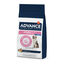 12 kg Advance Veterinary Diets Atopic Medium Maxi Truta ração para cães, , large Indicador imagem número 1