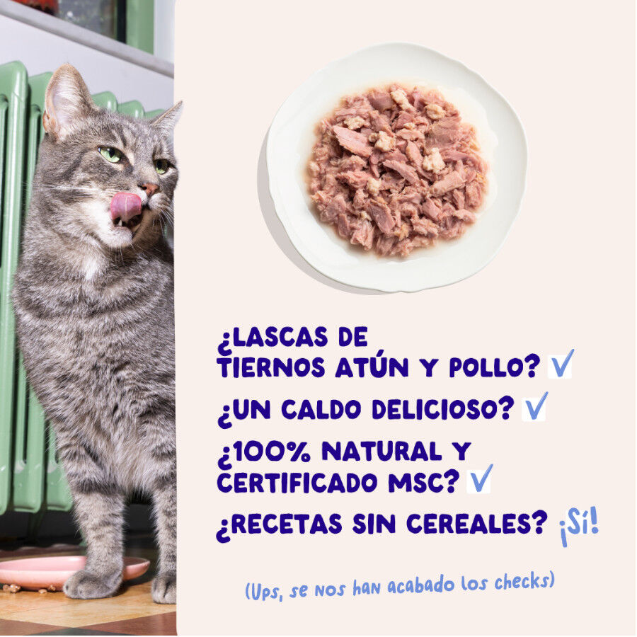 70 g Edgard & Cooper Alimento h&uacute;mido de atum e frango em lata para gatos, , large Imagem n&uacute;mero 4