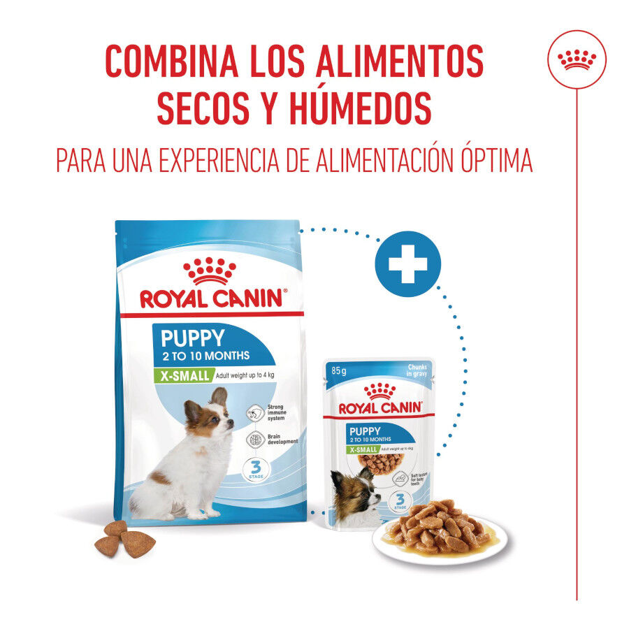 3 kg Royal Canin X-Small Puppy ra&ccedil;&atilde;o para c&atilde;es, , large Imagem n&uacute;mero 6