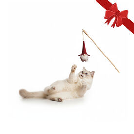 Wonder Christmas Vara com Brinquedo Pai Natal para Gatos,  Wonder Christmas Vara com Brinquedo Pai Natal para Gatos