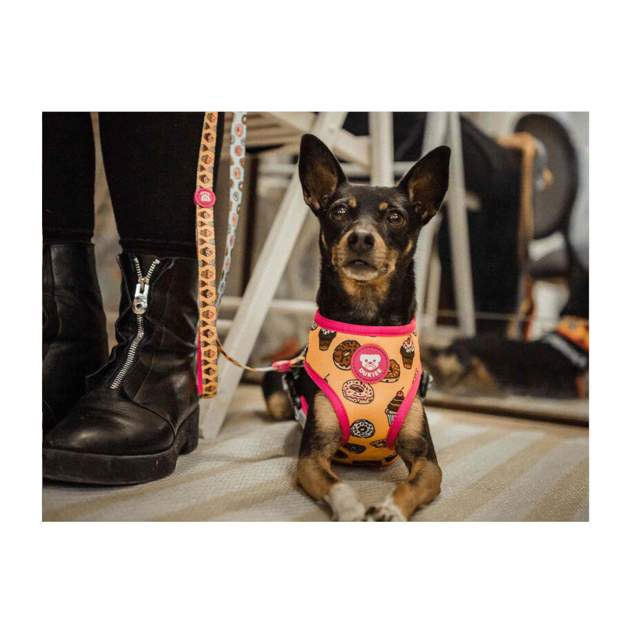 Dukier Peitoral Revers&iacute;vel com Estampado de Cupcakes & Donuts para c&atilde;es, , large Imagem n&uacute;mero 3