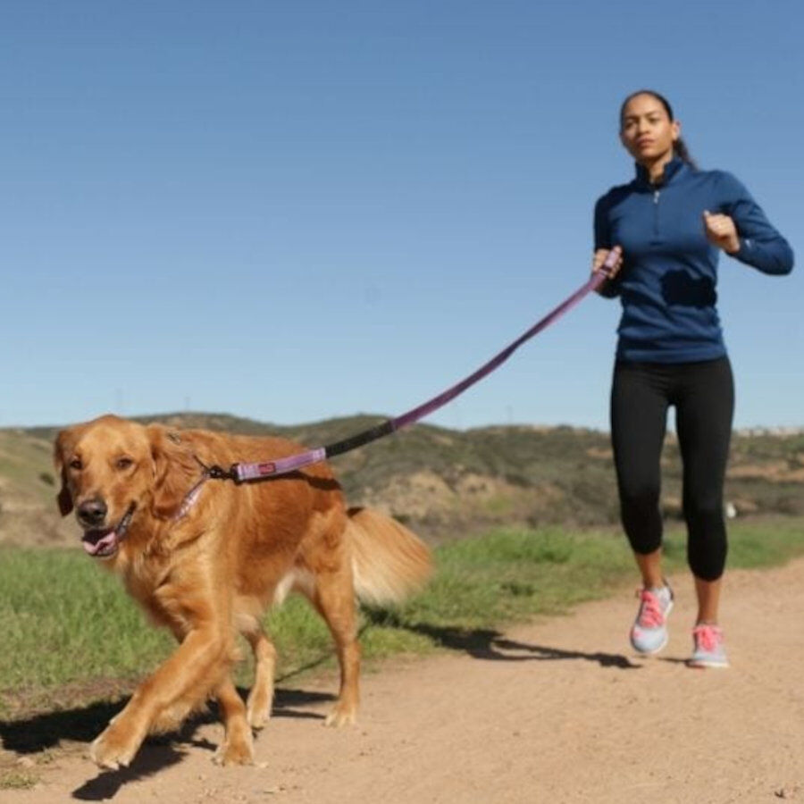 Halti Trela m&atilde;os livres vermelha para c&atilde;es, , large Imagem n&uacute;mero 2