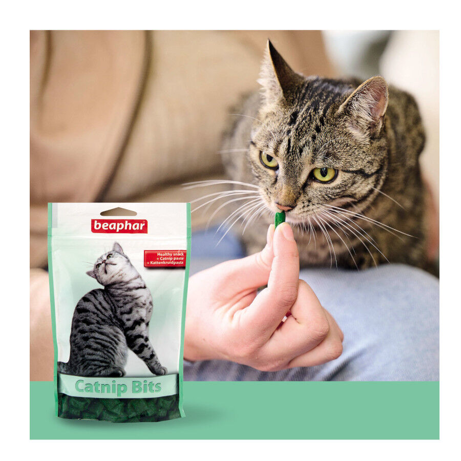 150 g Beaphar Bocaditos Catnip para gatos, , large Imagem n&uacute;mero 3