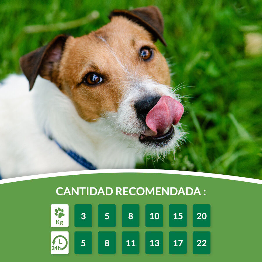 4 saquetas x 14 g Churu Snack Cremoso Receita de Frango com Atum para c&atilde;es, , large Imagem n&uacute;mero 6