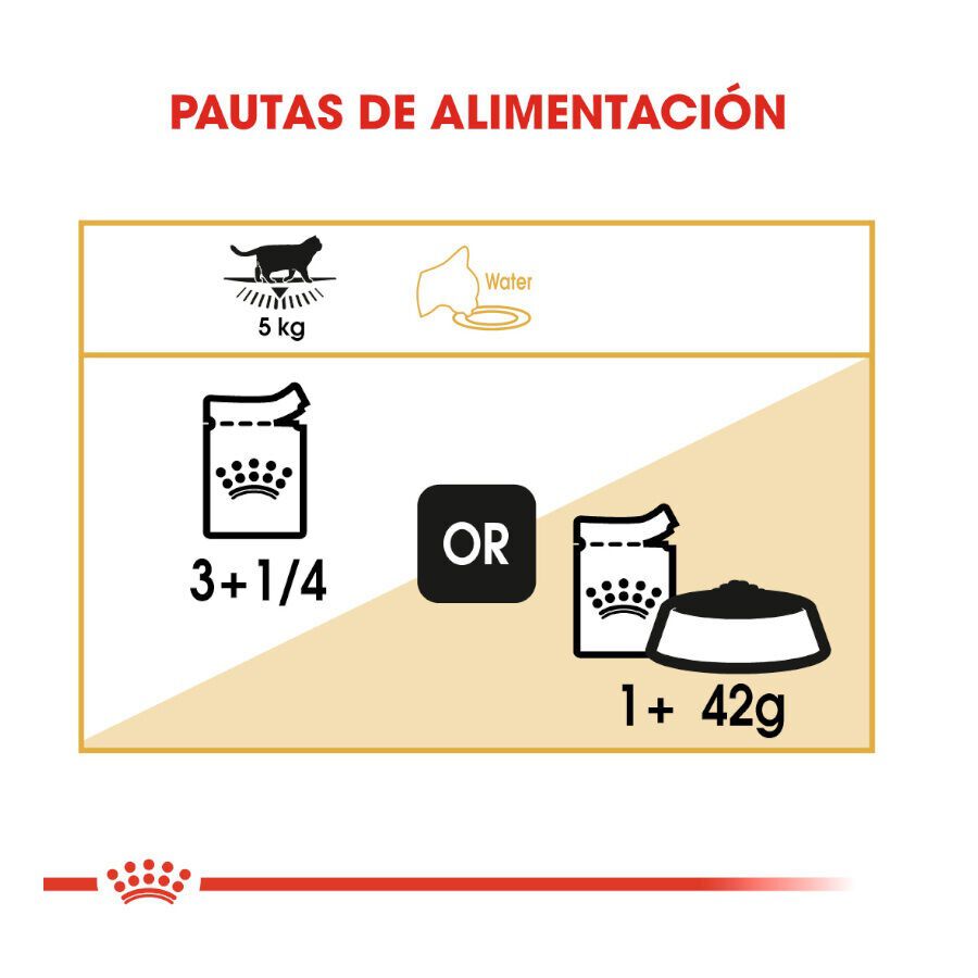 85 g Royal Canin comida h&uacute;mida British Shorthair Adult, , large Imagem n&uacute;mero 6
