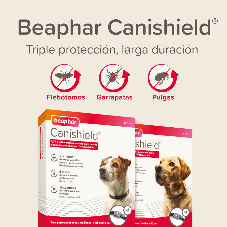 Beaphar Canishield Coleira Antipulgas para c&atilde;es, , large Imagem n&uacute;mero 7