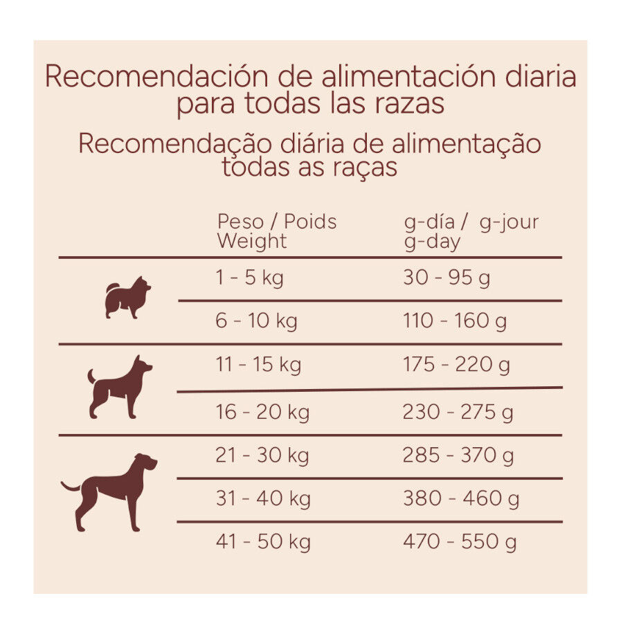 10 kg Criadores Monoproteico Adulto Ra&ccedil;&atilde;o de frango para c&atilde;es, , large Imagem n&uacute;mero 10