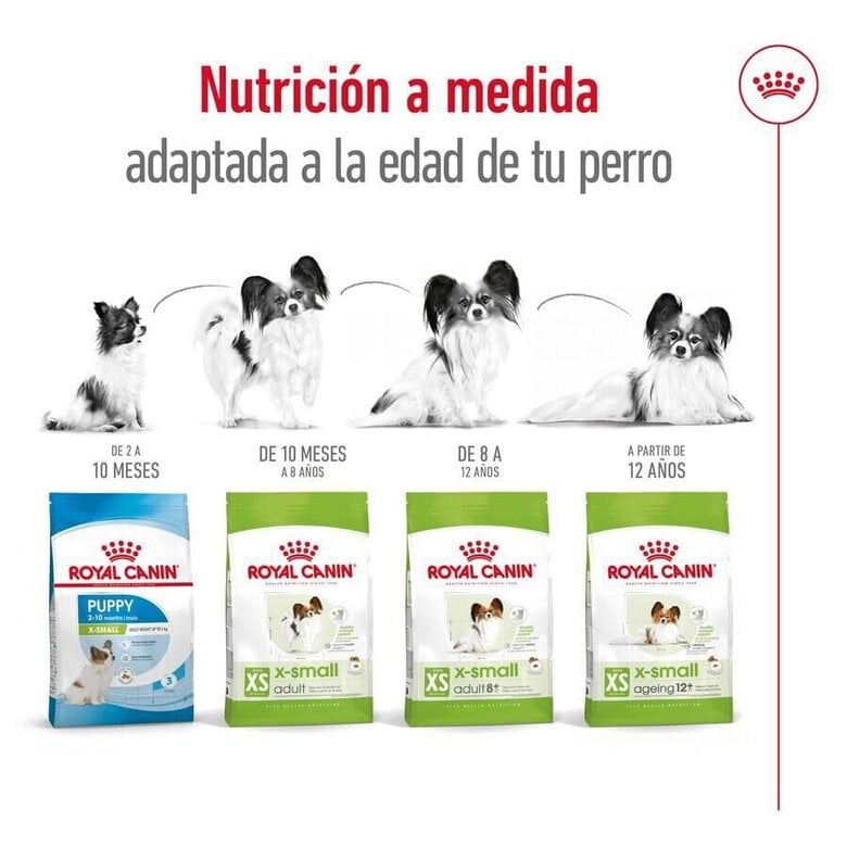 3 kg Royal Canin X-Small Adult ração para cães,  Imagem número 11 3 kg Royal Canin X-Small Adult ração para cães, , large Imagem número 11