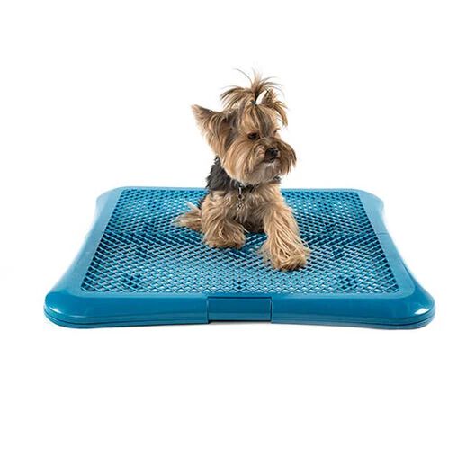 TK-Pet bandeja de adiestramiento para perros Imagem n&uacute;mero 1