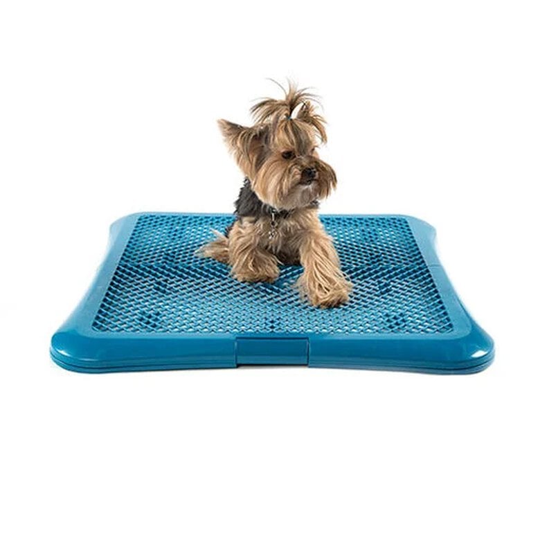 bandeja_adiestramiento_perros_tk_pet_TKP31170_M Imagem número 1 TK-Pet bandeja de adiestramiento para perros Imagem número 1