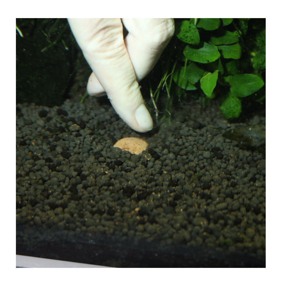 JBL 7 Kugeln Fertilizante para Plantas de aqu&aacute;rio, , large Imagem n&uacute;mero 6