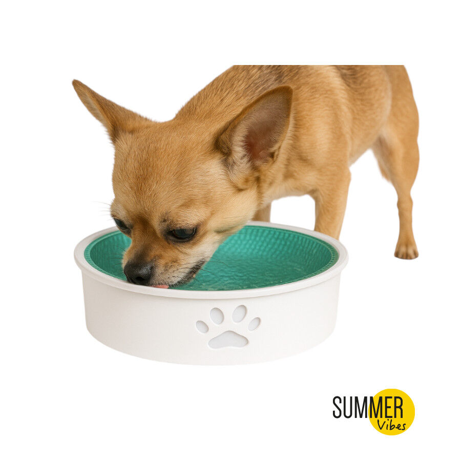 Summer Vibes Bebedouro Refrescante para c&atilde;es, , large Imagem n&uacute;mero 2