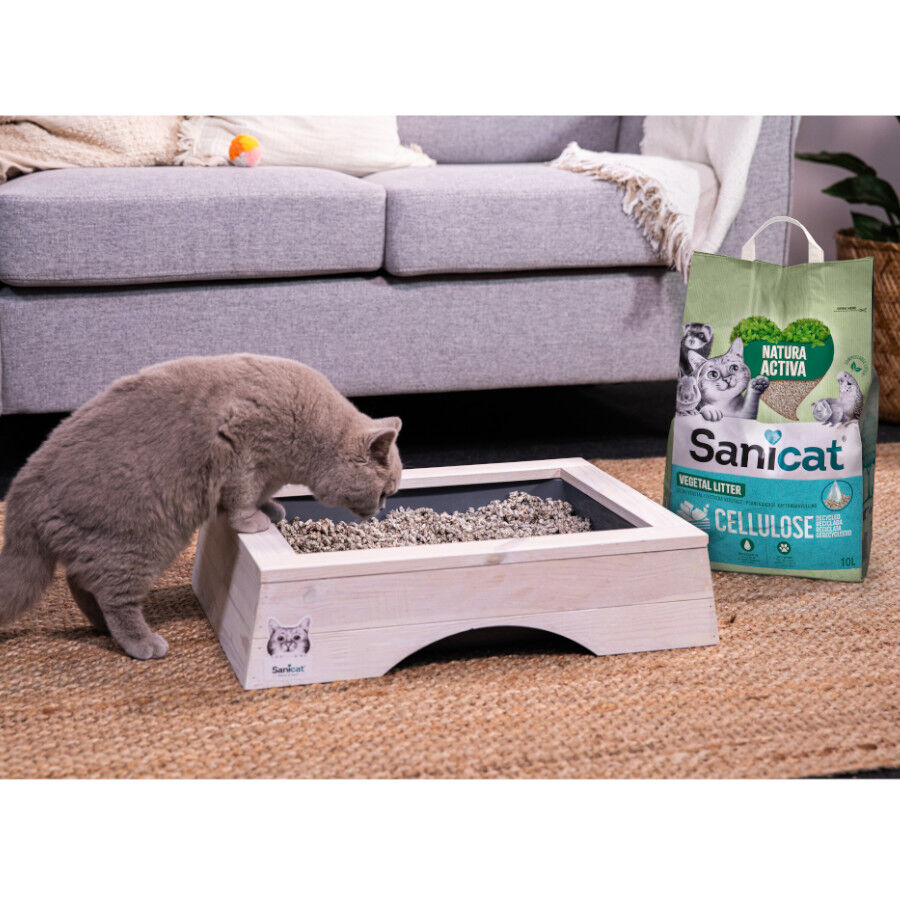 10 L Sanicat Recycled Cellulose Substrato Natural para gatos, , large Imagem n&uacute;mero 5