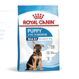 Royal Canin Puppy Maxi ração para cães