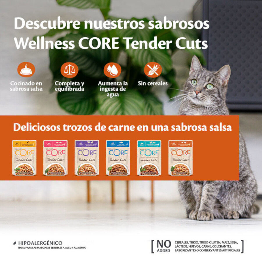  85 g Wellness Core Tender Cuts atum em molho saquetas para gatos, , large Imagem n&uacute;mero 5