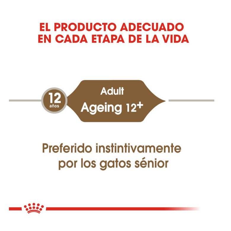 85 g Royal Canin Ageing 12+ alimento húmido com molho em saquetas para gatos,  Imagem número 6 85 g Royal Canin Ageing 12+ alimento húmido com molho em saquetas para gatos, , large Imagem número 6