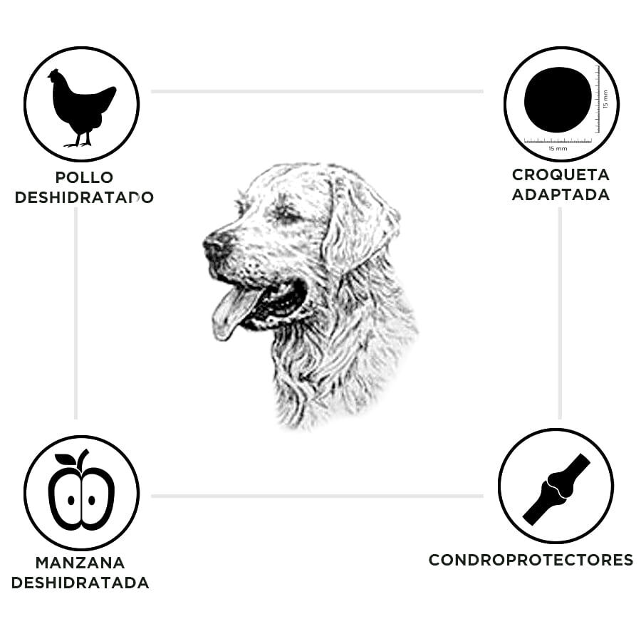 15 kg Criadores Senior Frango e Arroz ra&ccedil;&atilde;o para c&atilde;es de ra&ccedil;as m&eacute;dias e grandes, , large Imagem n&uacute;mero 3