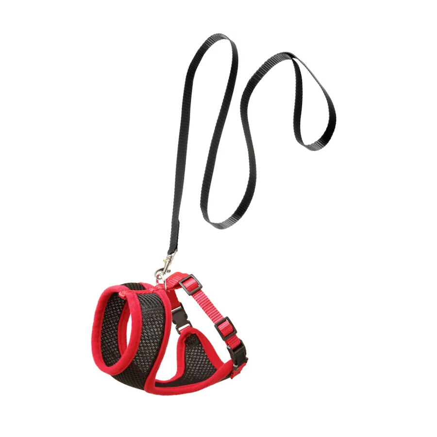 Flamingo Harms Peitoral com trela preta e vermelha para gatos, , large Imagem n&uacute;mero 1