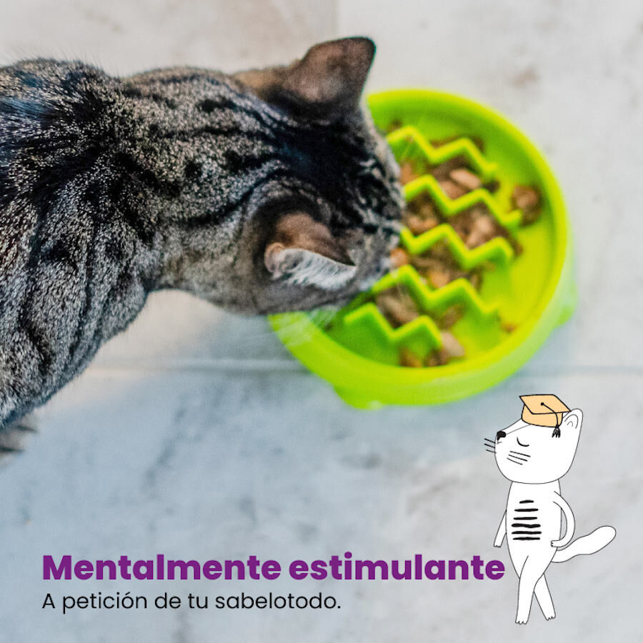 Catstages Cat Fun Comedouro Anti-Voracidade Verde para gatos, , large Imagem n&uacute;mero 3