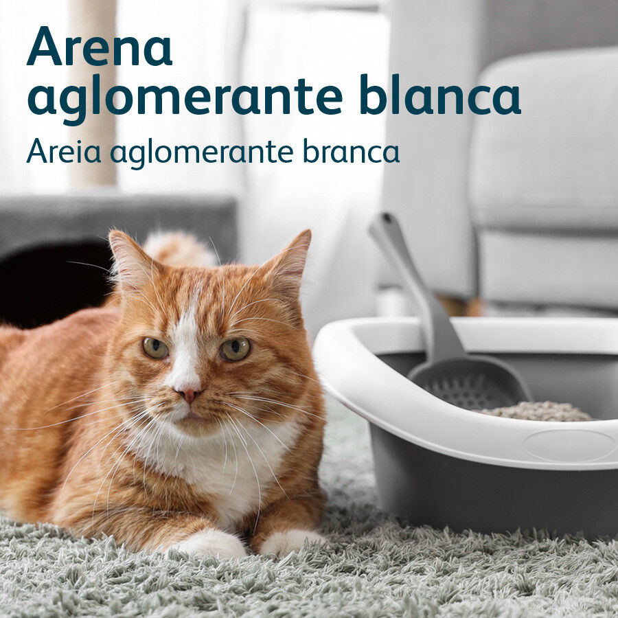 Nova Clean Ultra Natural Areia Aglomerante para gatos , , large Imagem n&uacute;mero 3