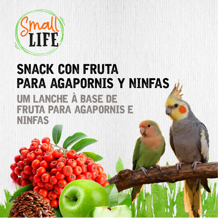 2 barritas Small Life Barritas Snack com Fruta para agapornis e caturras, , large Imagem n&uacute;mero 4