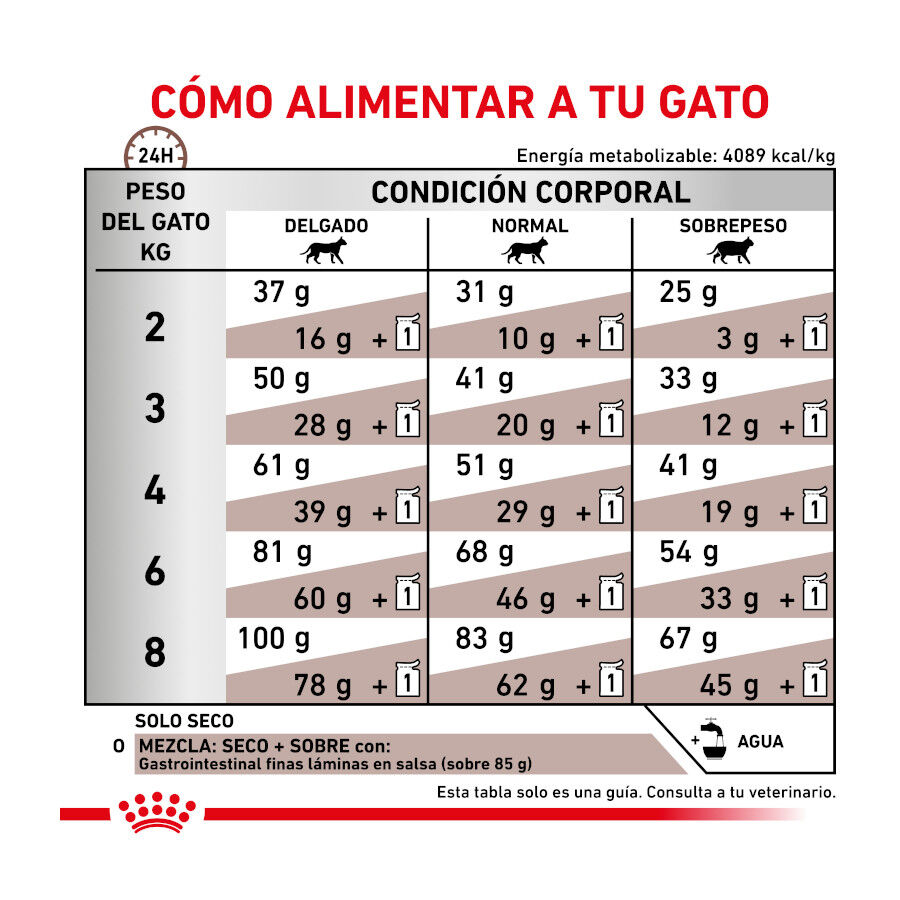 4 kg Royal Canin Veterinary Gastrointestinal ra&ccedil;&atilde;o para gatos , , large Imagem n&uacute;mero 7
