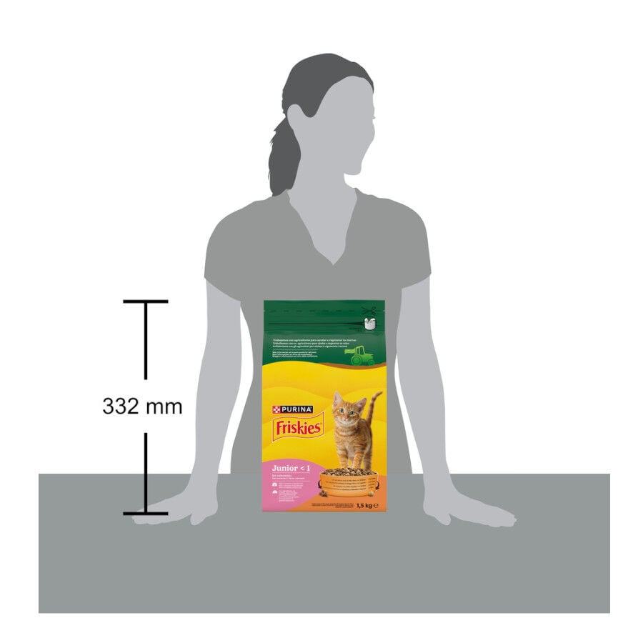 1.5 kg Friskies Junior Ra&ccedil;&atilde;o para gatos , , large Imagem n&uacute;mero 7
