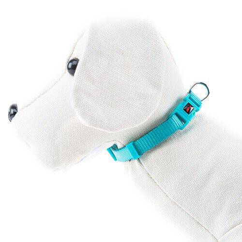 Nayeco Basic collar para perros aguamarina nylon Imagem n&uacute;mero 1