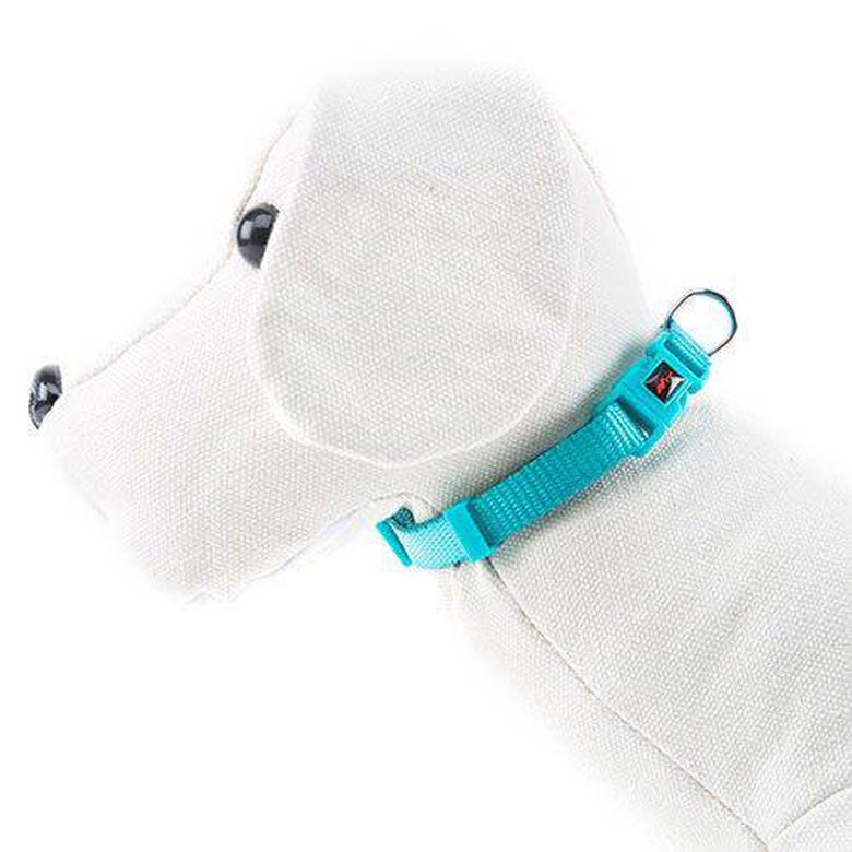 accesorio_perro_nayeco_basic_aguamarina_collar_NAYPE68944_M Imagem número 1 Nayeco Basic collar para perros aguamarina nylon Imagem número 1