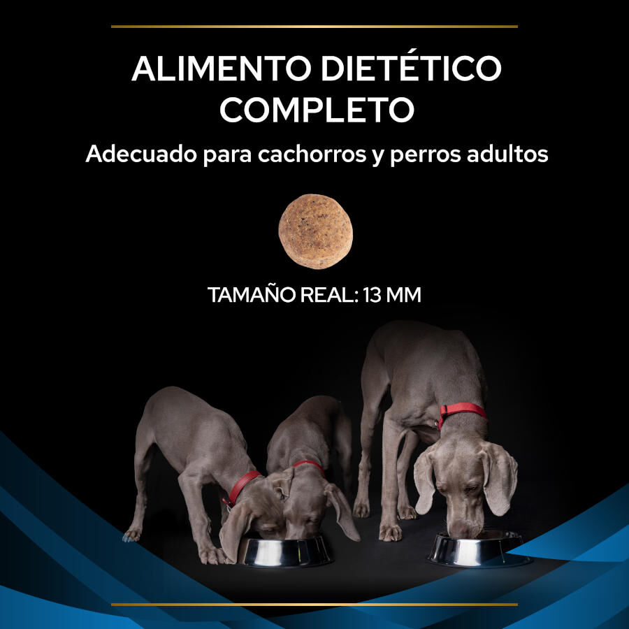 12 kg Pro Plan Veterinary Diets DRM Dermatosis Ra&ccedil;&atilde;o para c&atilde;es, , large Imagem n&uacute;mero 3