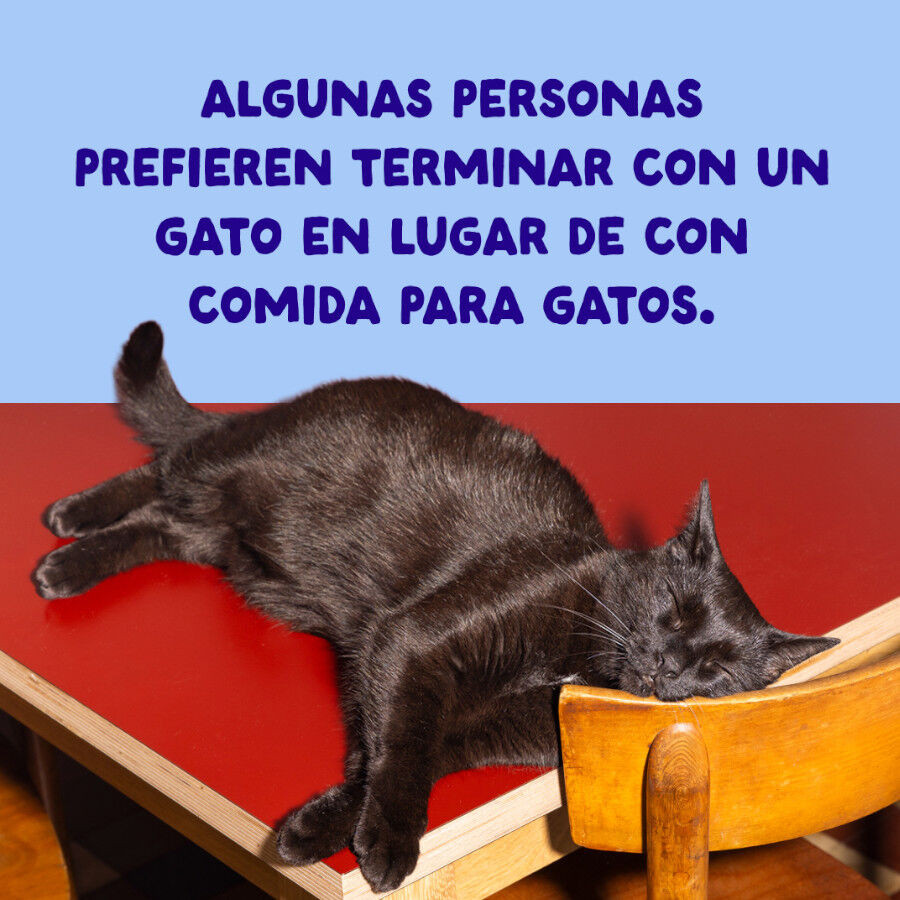 70 g Edgard & Cooper Alimento h&uacute;mido de atum e frango em lata para gatos, , large Imagem n&uacute;mero 9