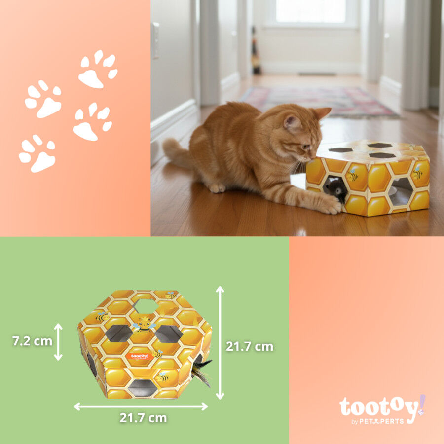 Tootoy! Interactive & Stimulate Brinquedo interativo para gatos, , large Imagem n&uacute;mero 4