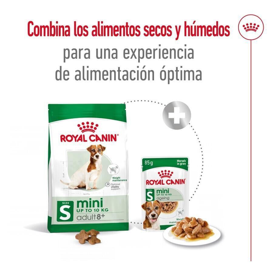 8 kg Royal Canin Mini 8+ Adult ra&ccedil;&atilde;o para c&atilde;es, , large Imagem n&uacute;mero 2