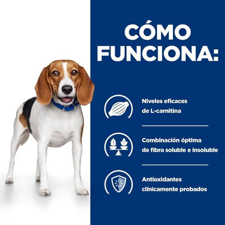 10 kg Hill's Prescription Diet Weight Loss r/d Frango ração para cães,  Imagem número 2 10 kg Hill's Prescription Diet Weight Loss r/d Frango ração para cães, , large Imagem número 2