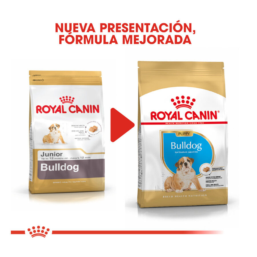 Royal Canin Puppy Bulldog ra&ccedil;&atilde;o para c&atilde;es, , large Imagem n&uacute;mero 3