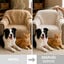 Nice Care Ambientador Eliminador de Odores para c&atilde;es e gatos, , large Indicador imagem n&uacute;mero 4