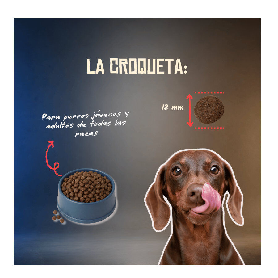 2 Kg Lenda Grain Free Ra&ccedil;&atilde;o de Porco para c&atilde;es, , large Imagem n&uacute;mero 6