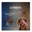 2 Kg Lenda Grain Free Ra&ccedil;&atilde;o de Porco para c&atilde;es, , large Indicador imagem n&uacute;mero 6