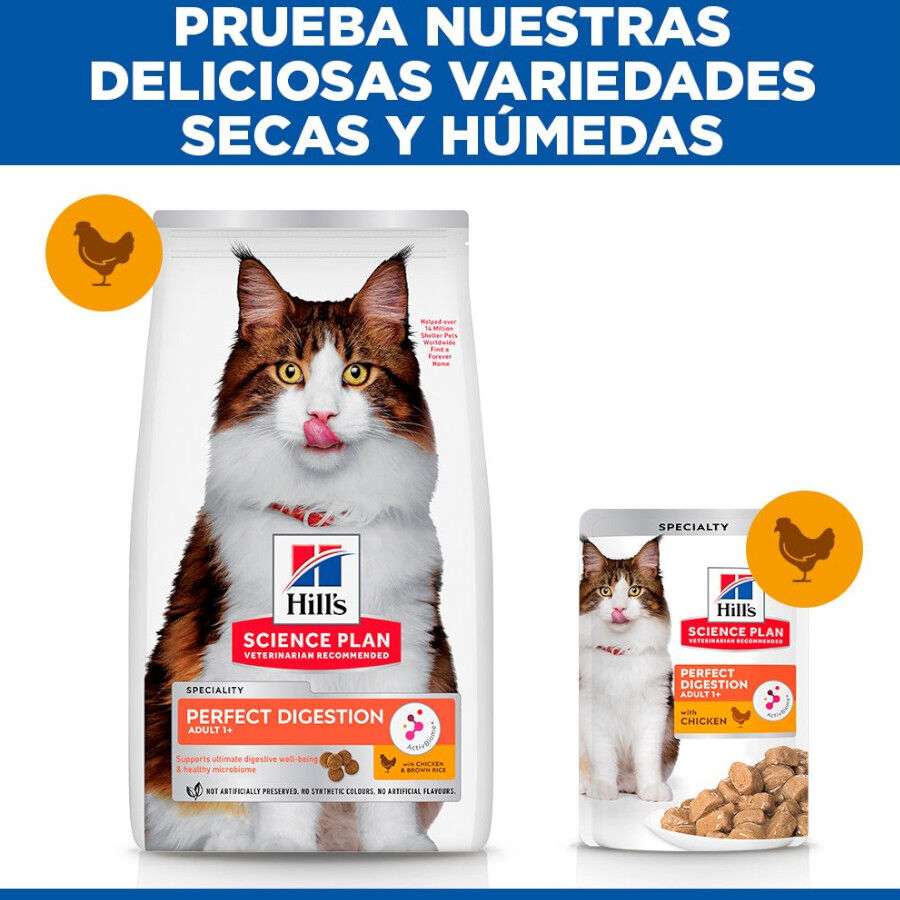 7 kg Hill's Adult Science Plan Perfect Digestion Frango ra&ccedil;&atilde;o para gatos, , large Imagem n&uacute;mero 7