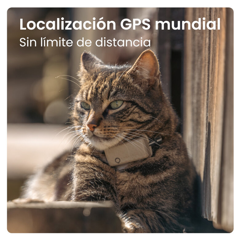 Tractive Cat Mini Rastreador GPS Marrom para Gatos,  Imagem número 4 Tractive Cat Mini Rastreador GPS Marrom para Gatos, , large Imagem número 4
