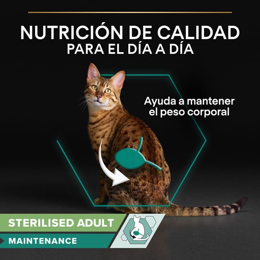 85 g Pro Plan Sterilised Maintenance saquetas com vaca em molho para gatos , , large Imagem n&uacute;mero 3