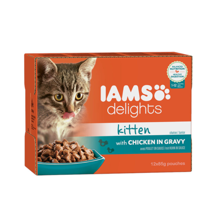 12 saquetas x 85 g IAMS Delights Frango saqueta em molho para gatinhos, , large Imagem n&uacute;mero 1