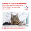 12 saquetas x 85 g Pack 12 Saquetas Royal Canin Veterinary Diet Feline Urinary S/O 85 g, , large Indicador imagem número 8
