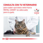 Pack 12 Saquetas Royal Canin Veterinary Diet Feline Urinary S/O 85 g, , large image number null