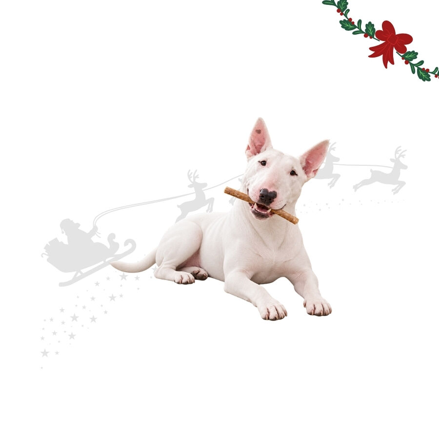 1 pack x 15 uns.Wonder Christmas Palitos de Colag&eacute;nio com Peru Snacks para C&atilde;es, , large Imagem n&uacute;mero 1